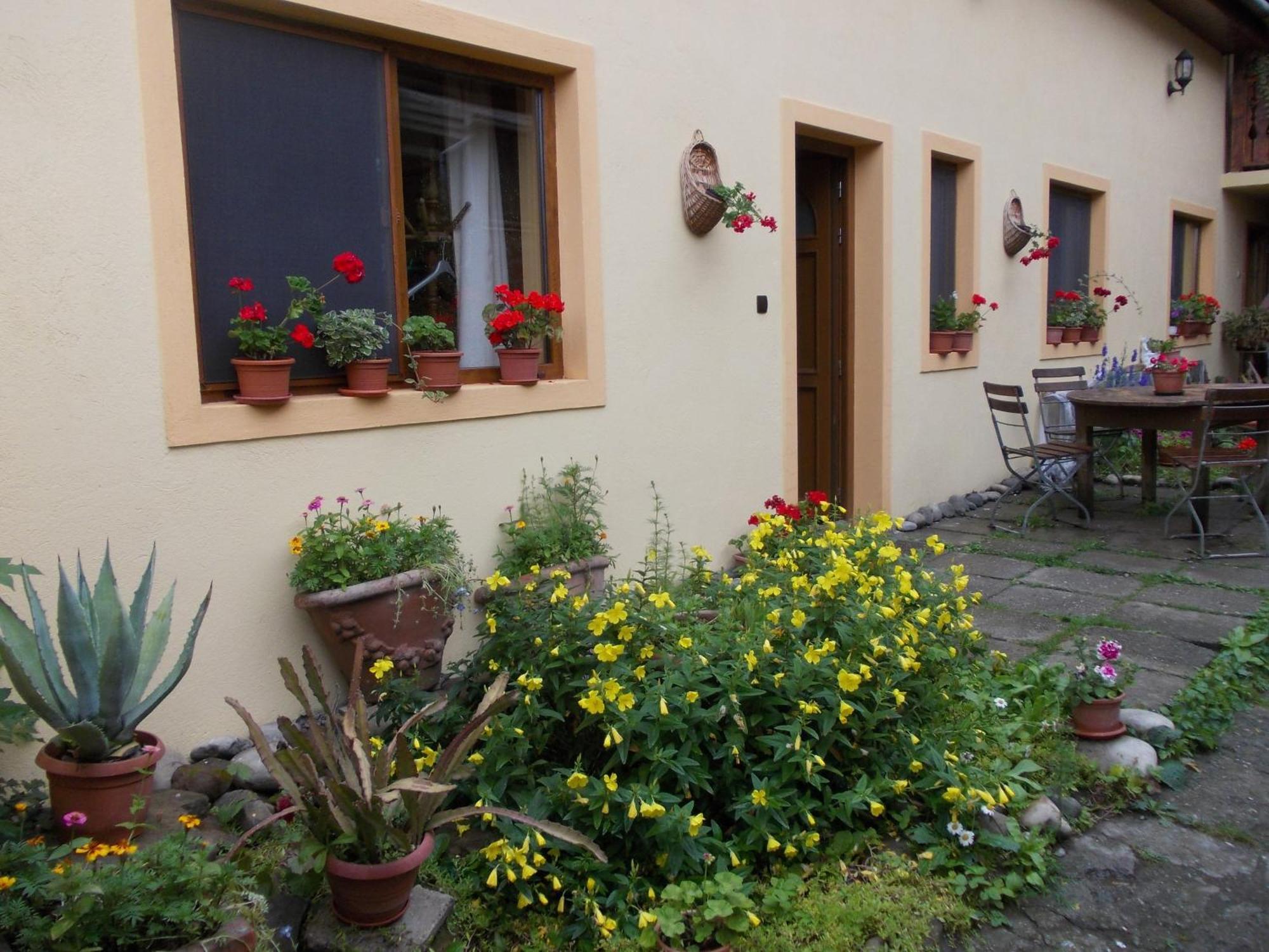 Casa Lia Hotel Segesvár Kültér fotó